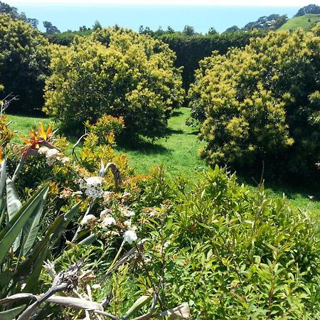 Ridgehaven Accommodation Opotiki Exterior photo