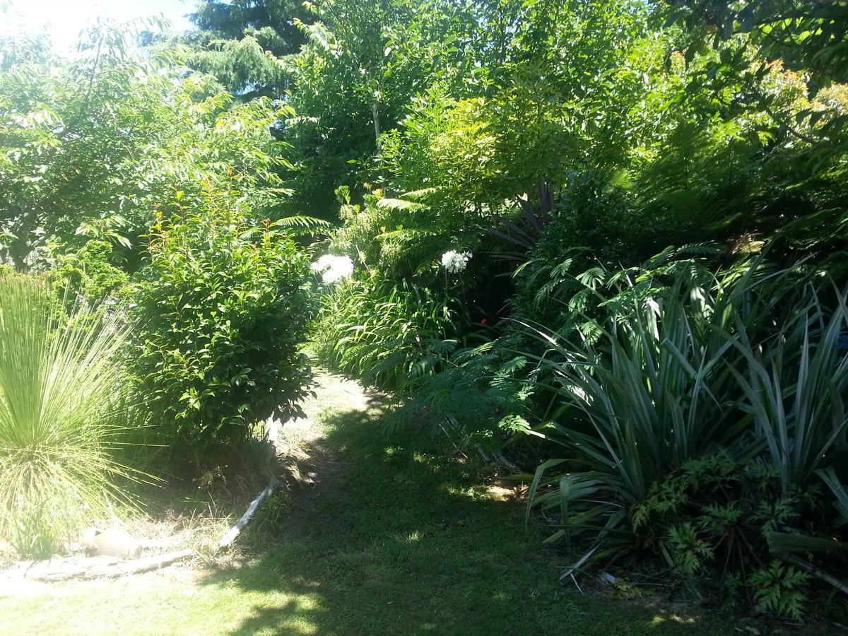 Ridgehaven Accommodation Opotiki Exterior photo