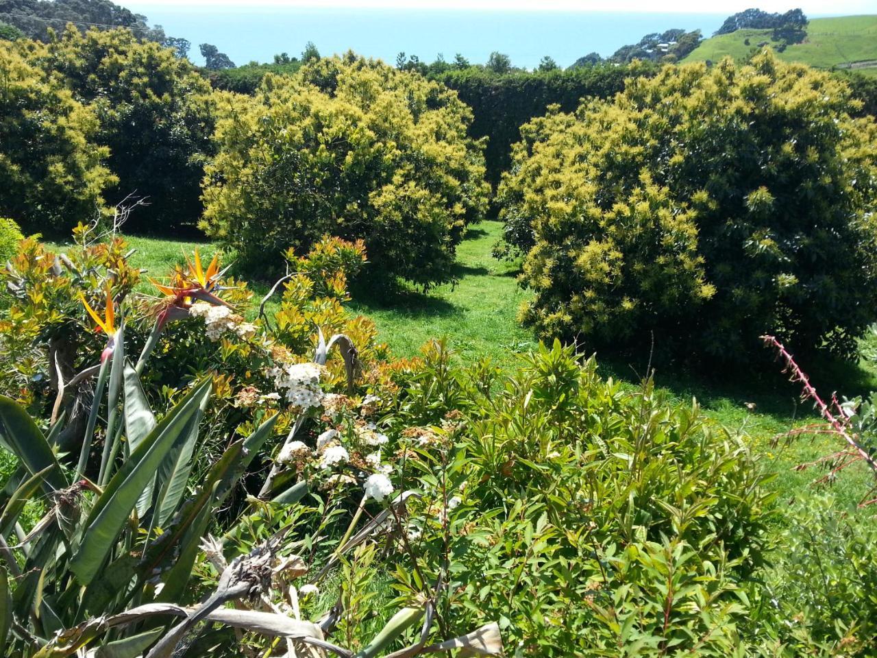 Ridgehaven Accommodation Opotiki Exterior photo