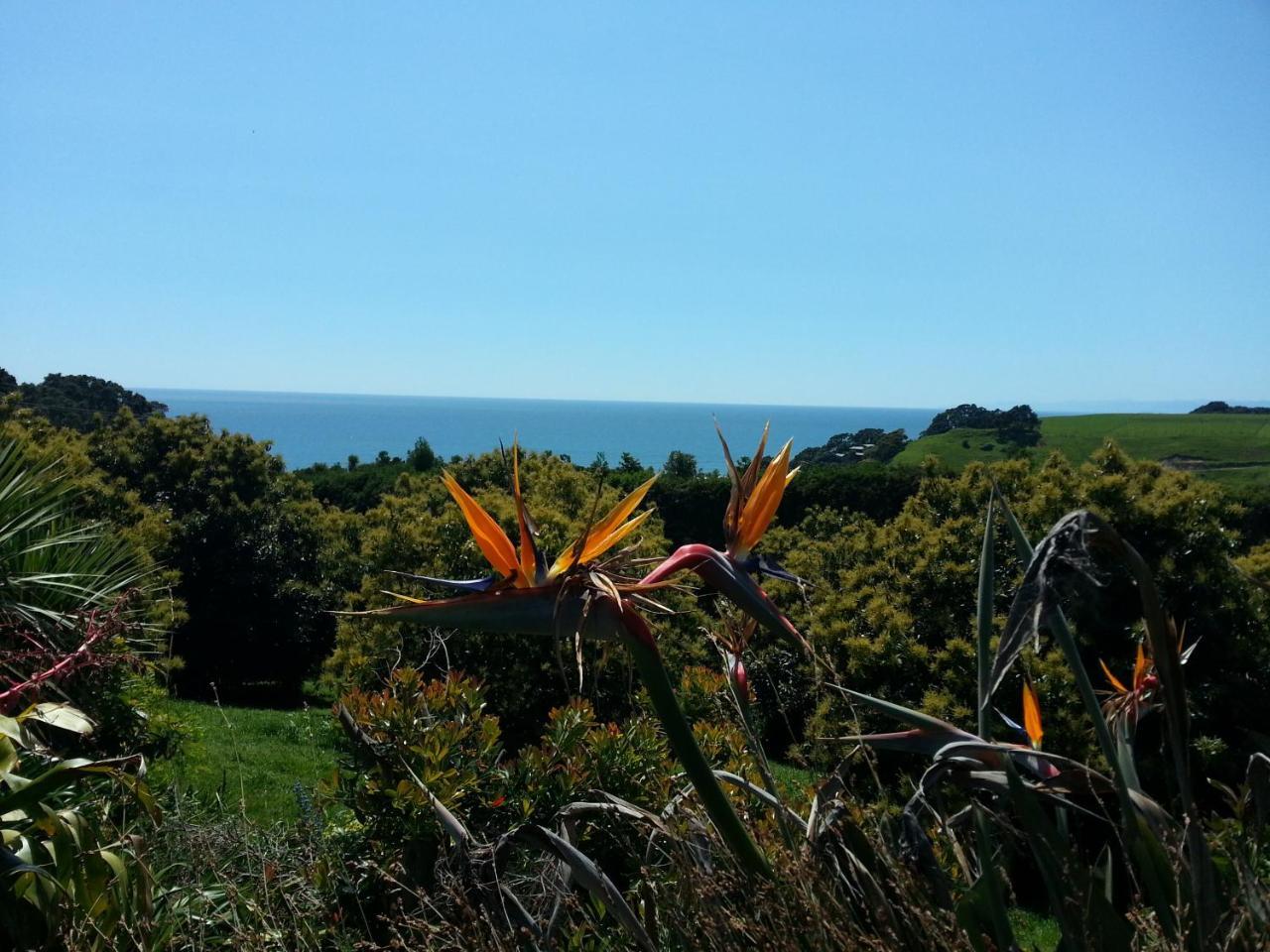 Ridgehaven Accommodation Opotiki Exterior photo