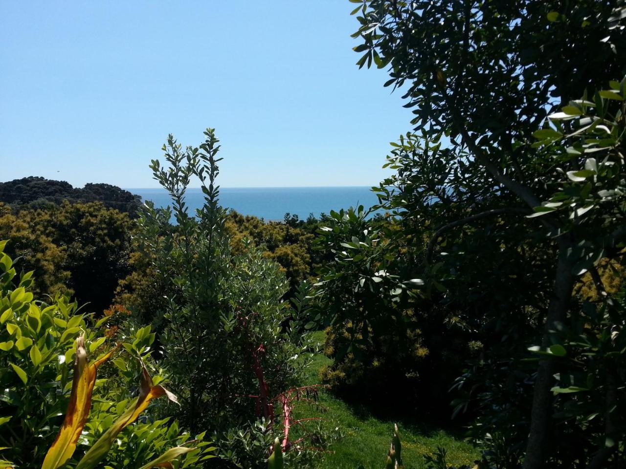 Ridgehaven Accommodation Opotiki Exterior photo